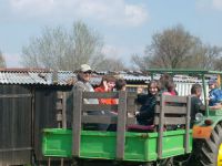 frizz-galerie_2009.04.09_09