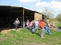 frizz-galerie_2009.04.09_17