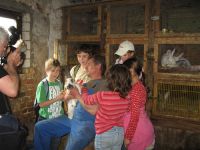 frizz-galerie_2009.04.09_25