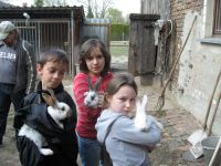 frizz-galerie_2009.04.09_32