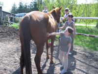 frizz-galerie_2009.04.14_01