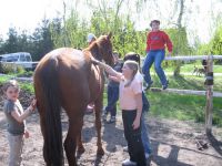 frizz-galerie_2009.04.14_02