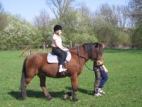 frizz-galerie_2009.04.14_07