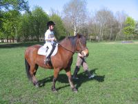 frizz-galerie_2009.04.14_08