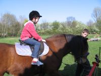 frizz-galerie_2009.04.14_09