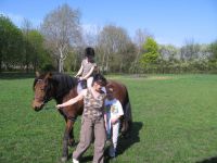 frizz-galerie_2009.04.14_11