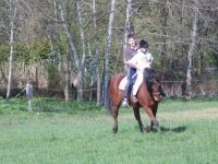 frizz-galerie_2009.04.14_13