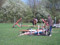 frizz-galerie_2009.04.14_14