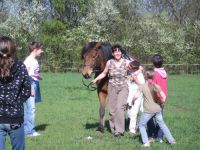 frizz-galerie_2009.04.14_15