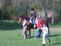 frizz-galerie_2009.04.14_19