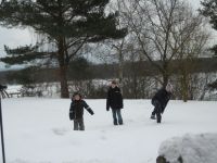 frizz-galerie_2010.02.01-03_12