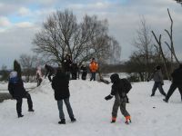 frizz-galerie_2010.02.01-03_24