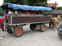 frizz-galerie_2010.07.16-23_02