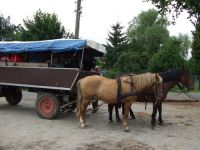 frizz-galerie_2010.07.16-23_03