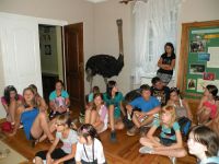 frizz-galerie_2010.07.17-27_16