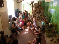 frizz-galerie_2010.07.17-27_17