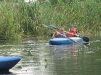 frizz-galerie_2010.07.19-21_17