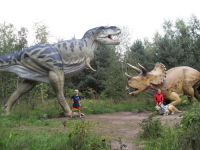 frizz-galerie_2010.08.12-18_10