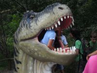 frizz-galerie_2010.08.12-18_11