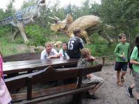 frizz-galerie_2010.08.12-18_12