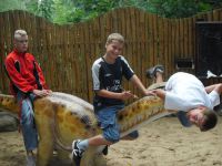 frizz-galerie_2010.08.12-18_14