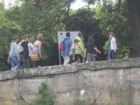 frizz-galerie_2010.08.12-18_31