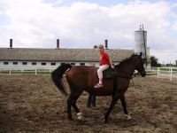 frizz-galerie_2010.08.18-20_11