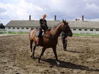 frizz-galerie_2010.08.18-20_13