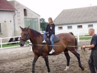 frizz-galerie_2010.08.18-20_17