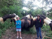 2013-07-11_10-46-27_575